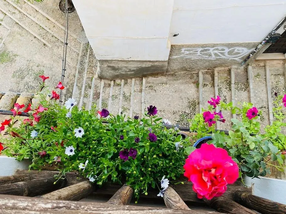 Апартаменты Peace House In Center Of Albaicin Unesco Heritage Гранада Испания